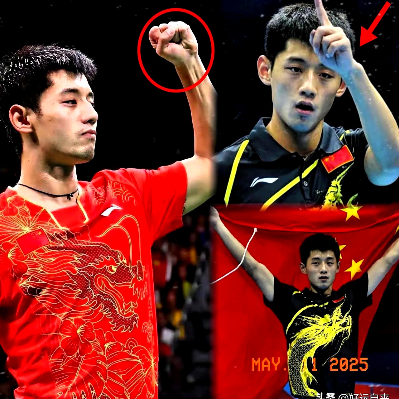 瑞典乒乓球队力克奥地利乒乓球队，张继科制霸全场的简单介绍