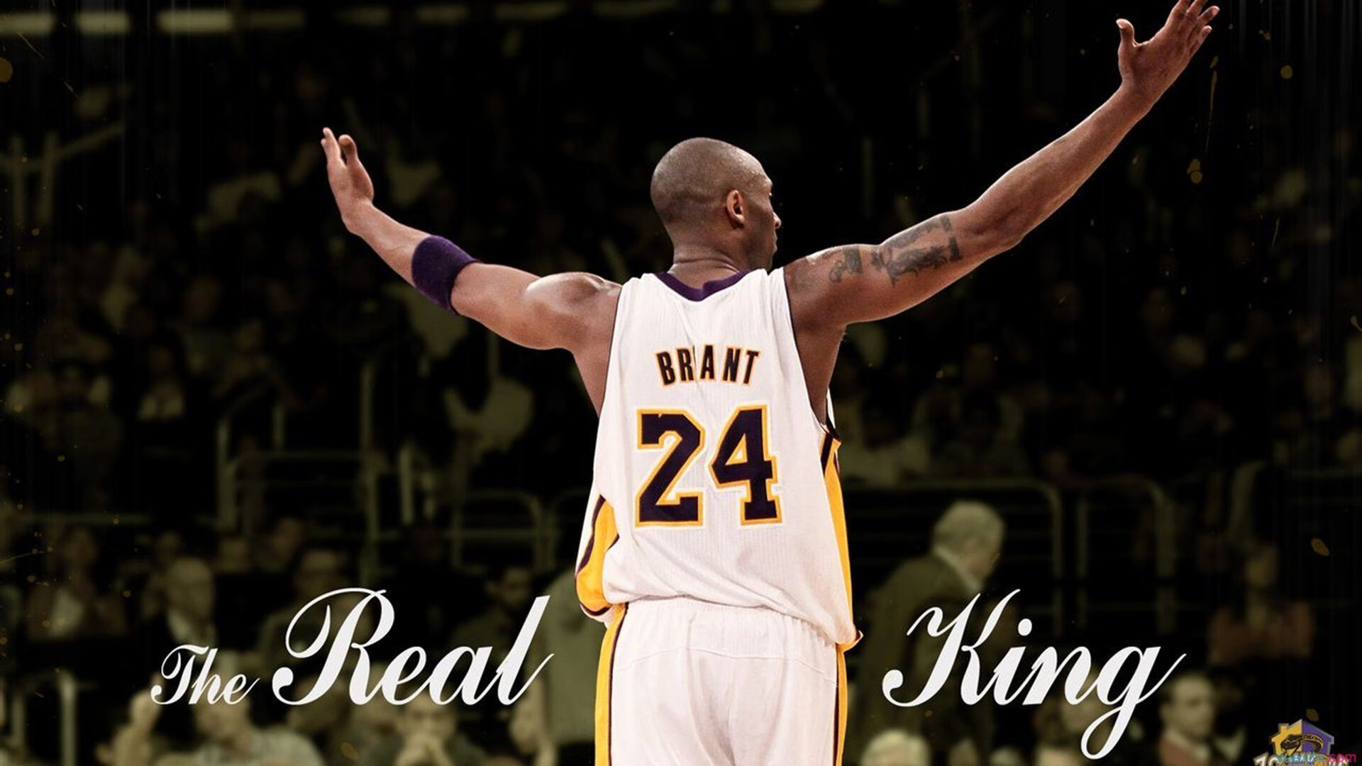 从纽约到都灵,鲁德的美网逆转如何铺就ATP总决赛的破纪录之路